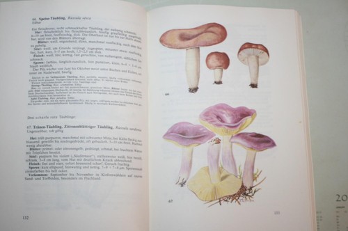 Taschenbuch für pilzsammler - taschenbuch,