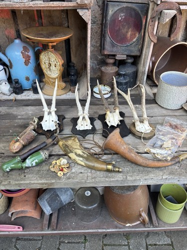 Jagd konvolut jägerzimmer - jagd, konvolut,