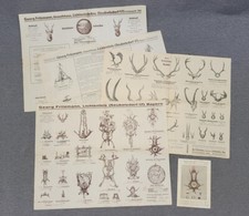 Werbung Reklame + AK