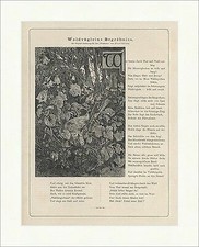 Waldvögleins Begräbnis